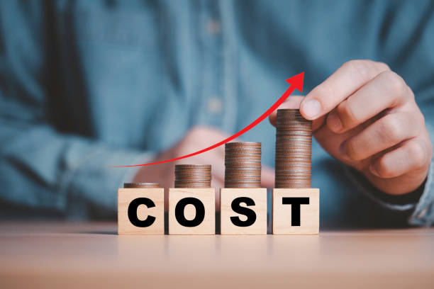 Influencer Marketing Cost